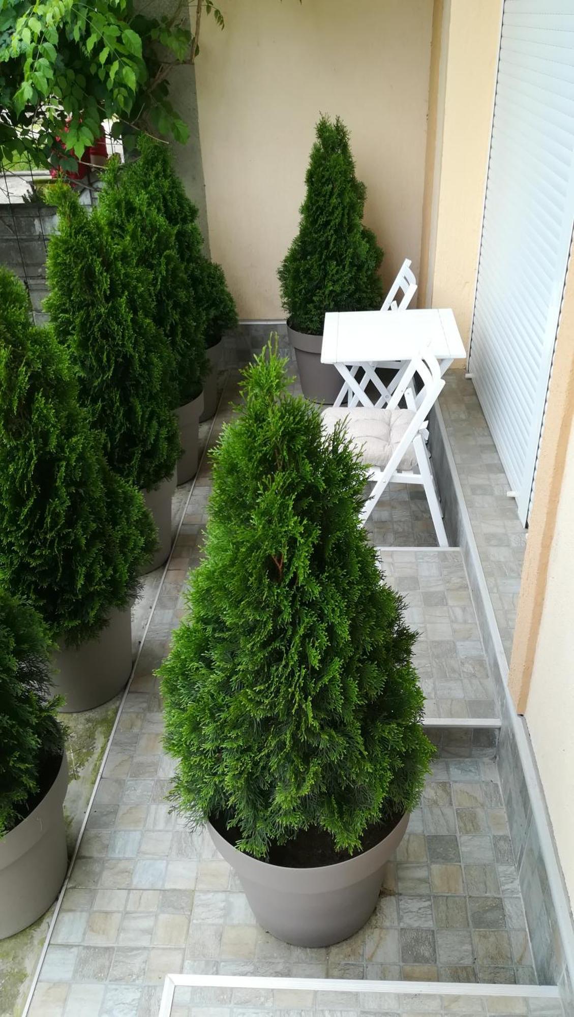 M4U Apartments Ni المظهر الخارجي الصورة